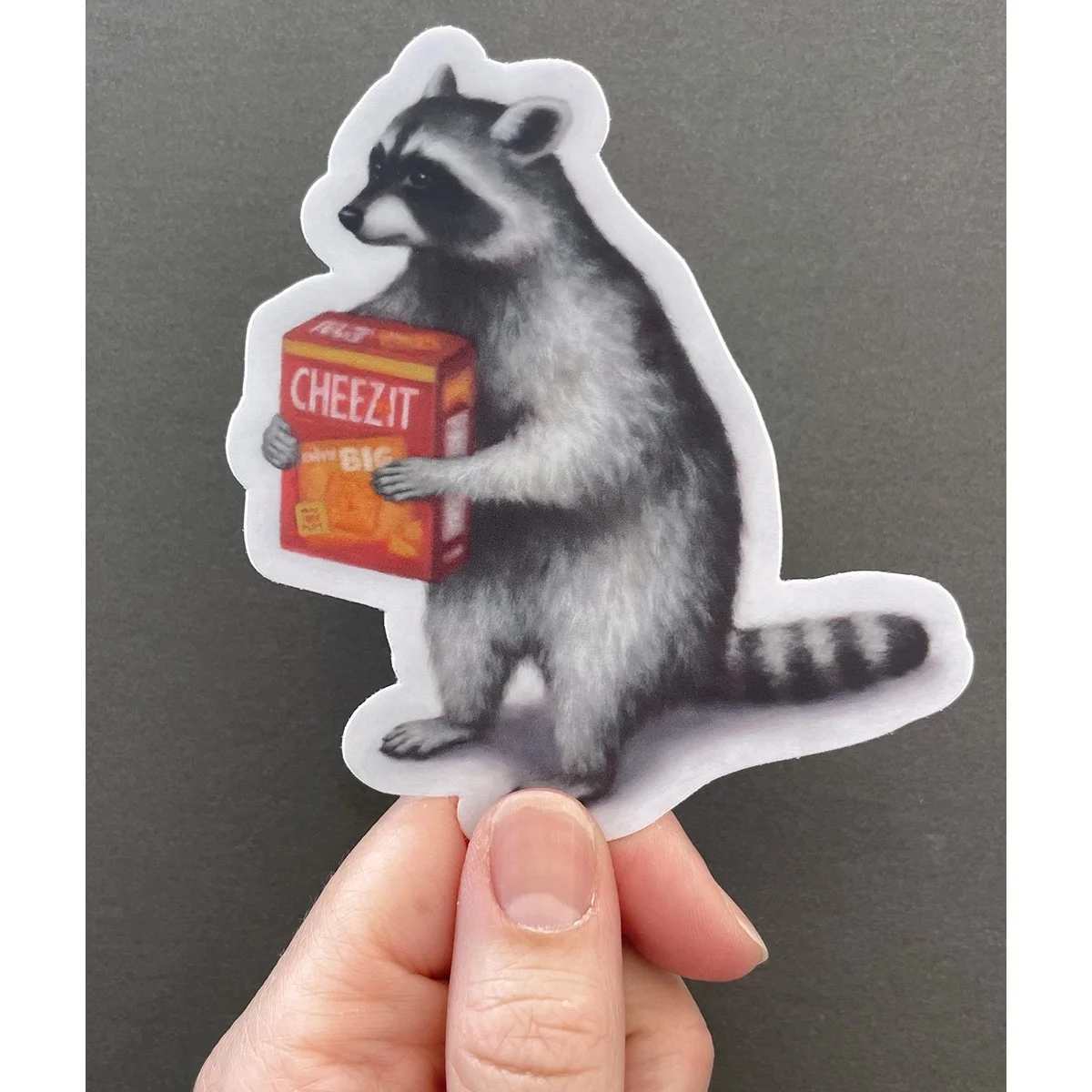 raccoon+sticker.jpg?format=1000w